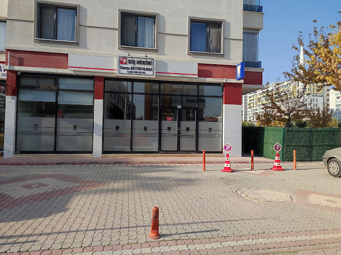 Klinik Giriş